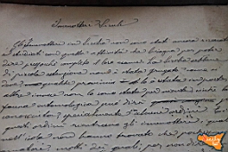 Santa Ninfa 19 11 2016 178.jpg